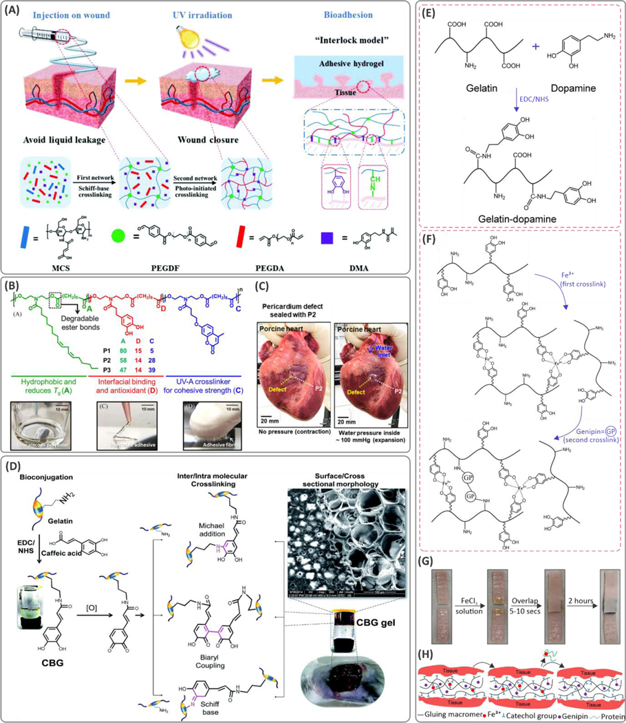 Figure 12.