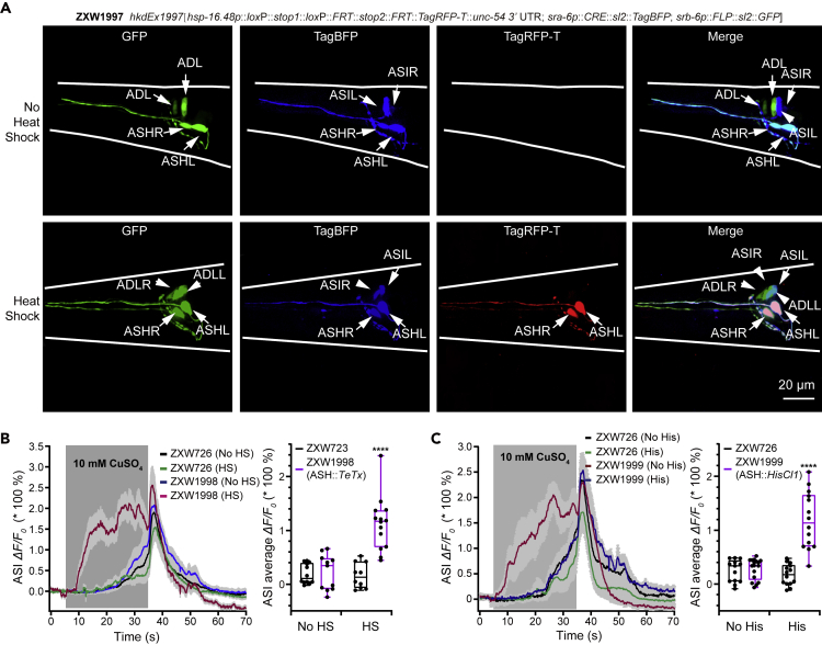 Figure 3