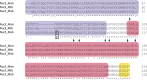 FIG 1