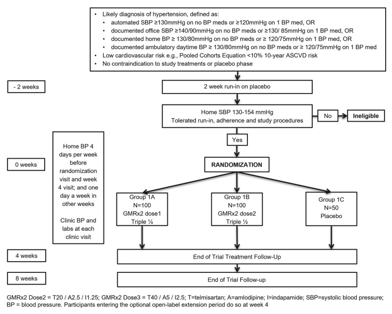 Schema for trial comparing GMRx2 with placebo (GMRx2 PCT)