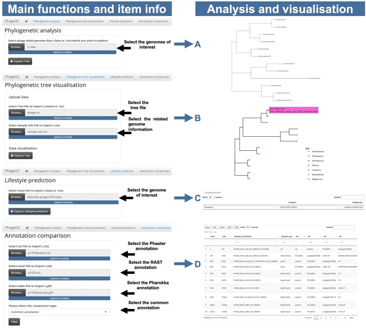 Figure 2: