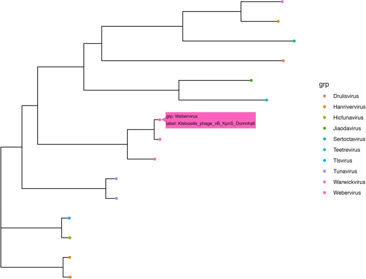 Figure 4: