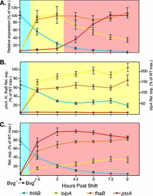 FIG. 2.