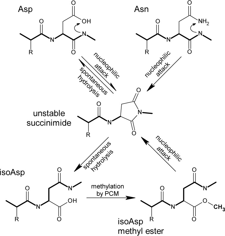 FIG 1