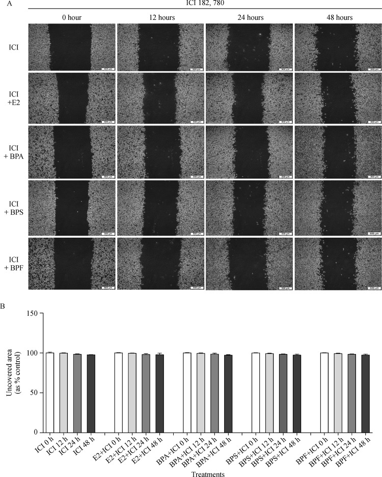 Fig.6