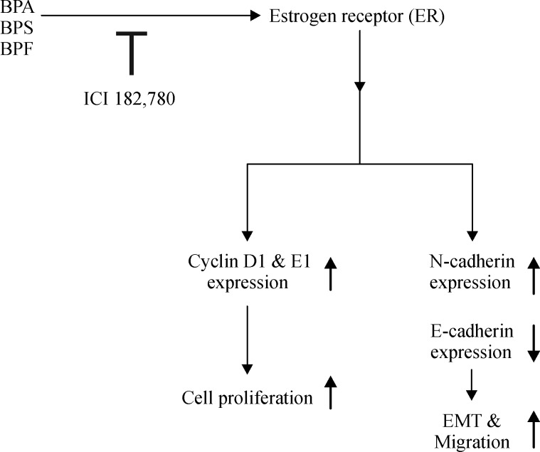 Fig.7