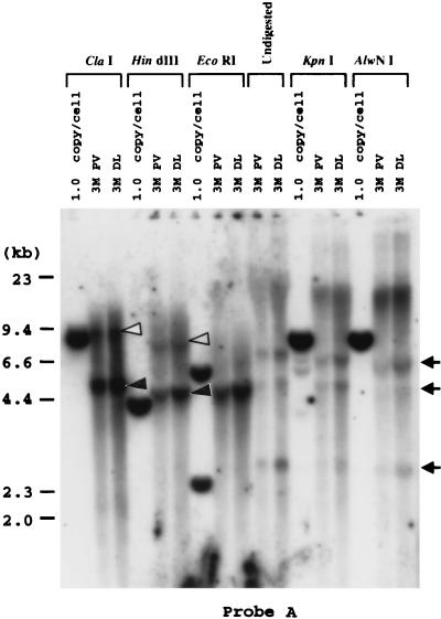 FIG. 5