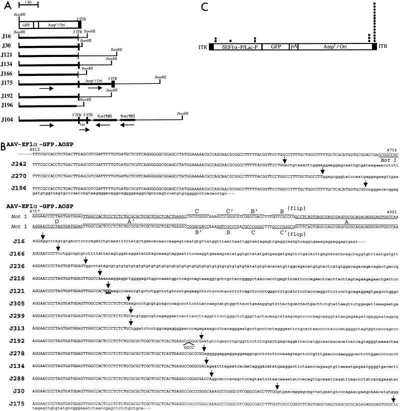 FIG. 8