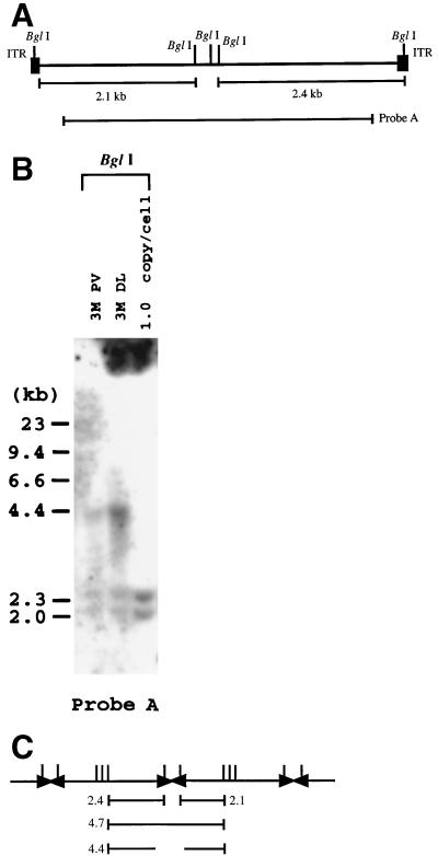 FIG. 7