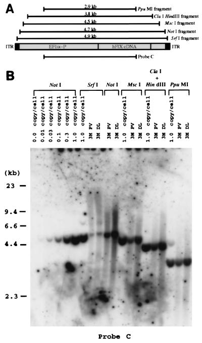 FIG. 6