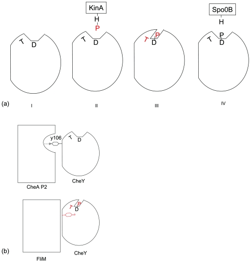 FIG. 5.