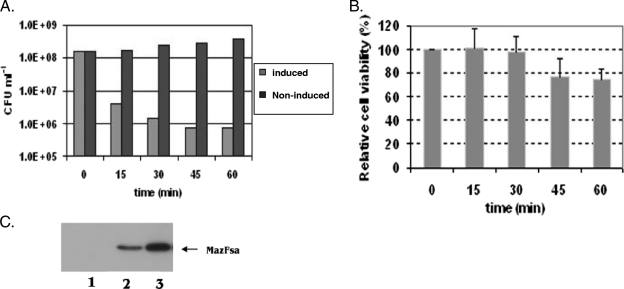 FIG. 1.