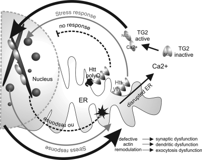 Figure 7.