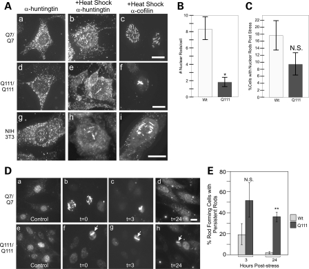 Figure 2.