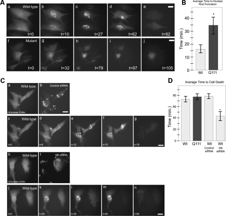 Figure 4.