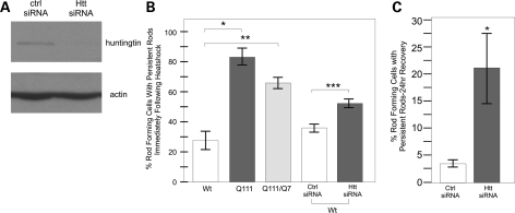 Figure 3.