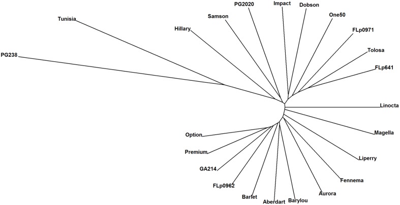 FIGURE 3