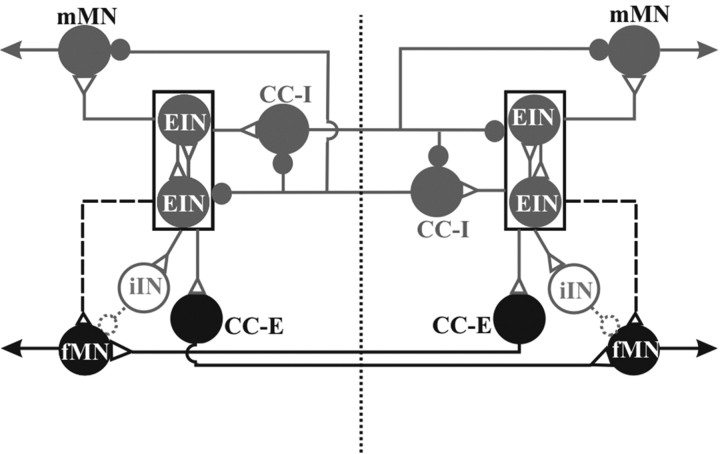 Figure 9.