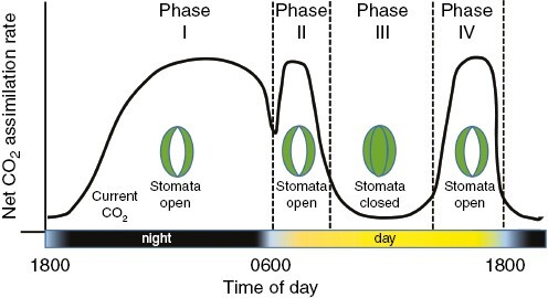 Fig. 5.