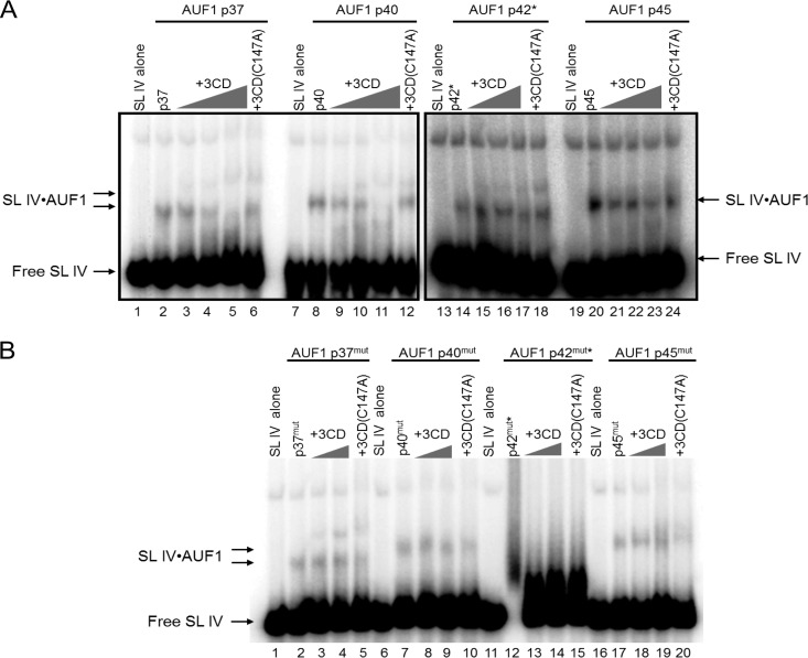 Fig 5