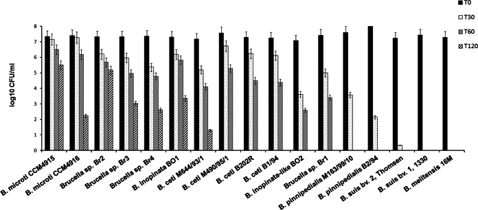 FIG 2