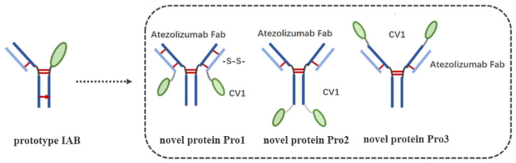 Figure 2