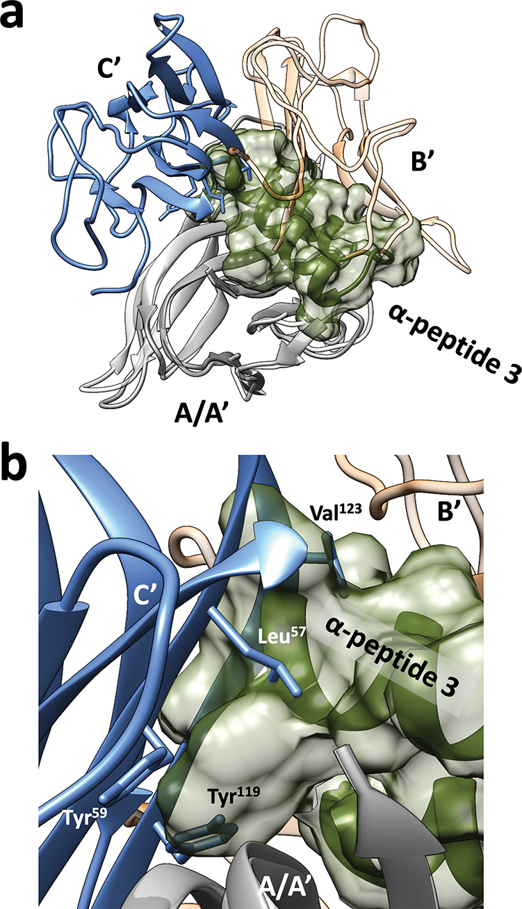 Figure 4.