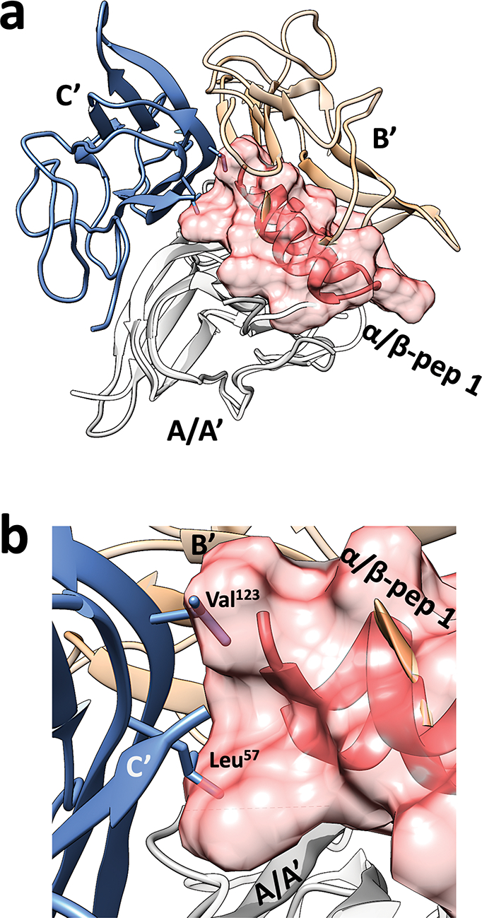 Figure 3.