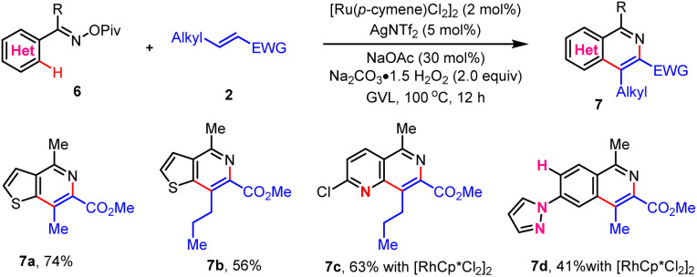 Scheme 5