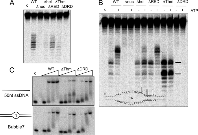 FIGURE 5.