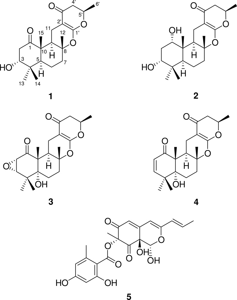 Fig.1