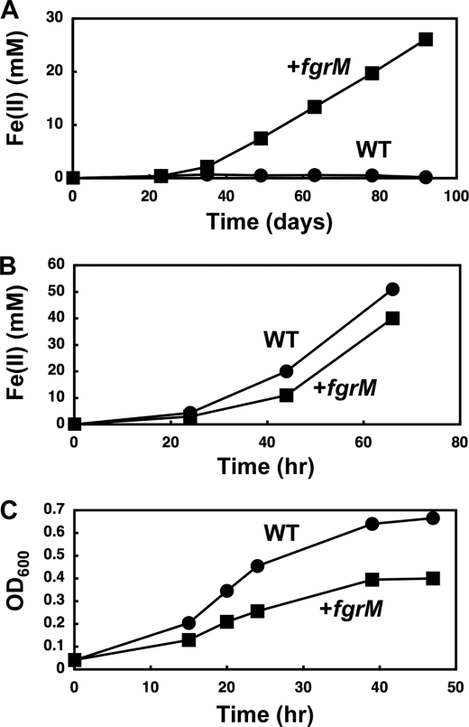 FIGURE 4.