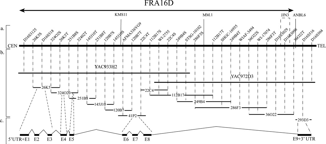 Fig. 2