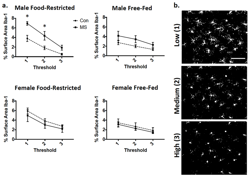 Figure 3.