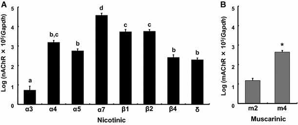 Fig. 2