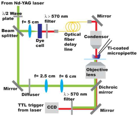 Fig. 2