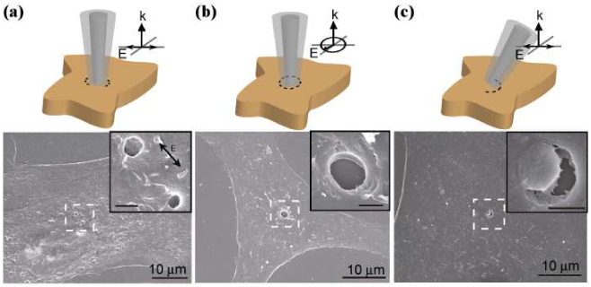 Fig. 5