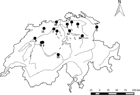 Fig. 1