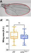 Figure 2—figure supplement 1.