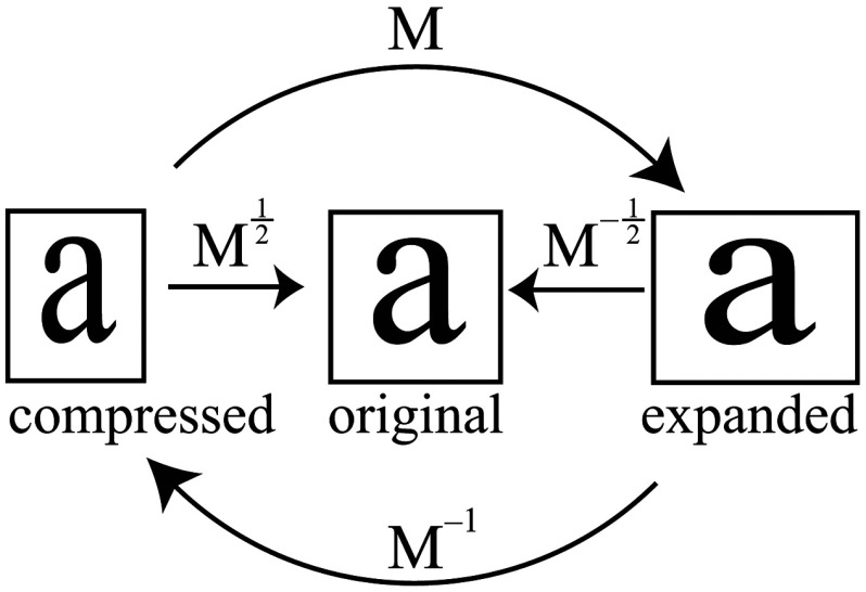 Fig. 2