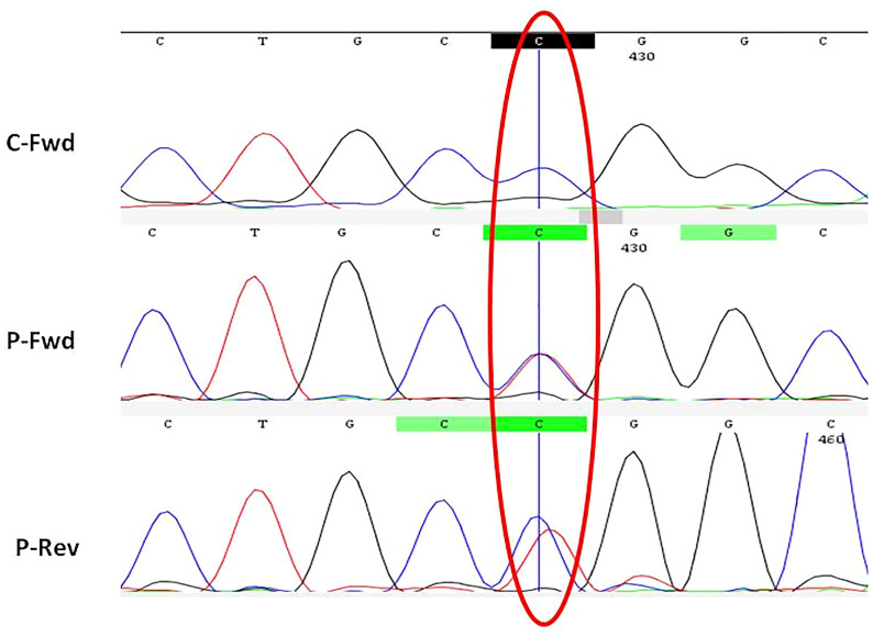 Figure 3