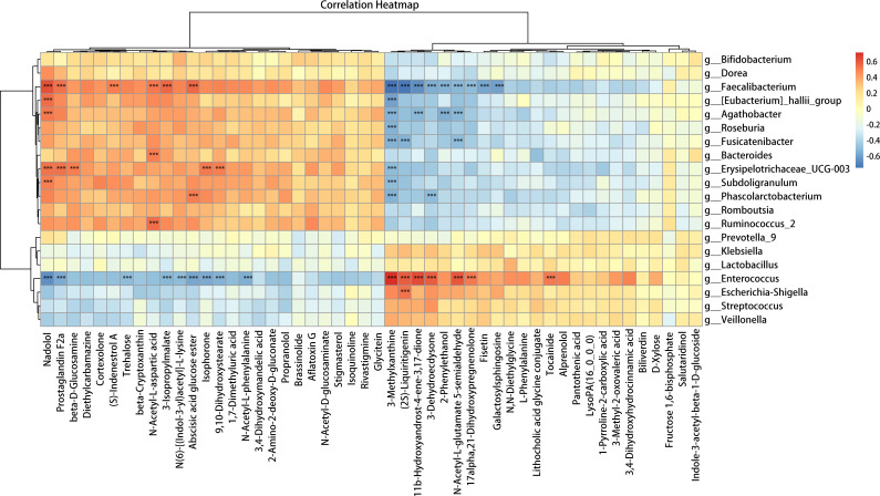 Correlation heatmap depicts relationships between various metabolites and bacterial genera. Warmer colors indicate positive correlations, and cooler colors indicate negative correlations.