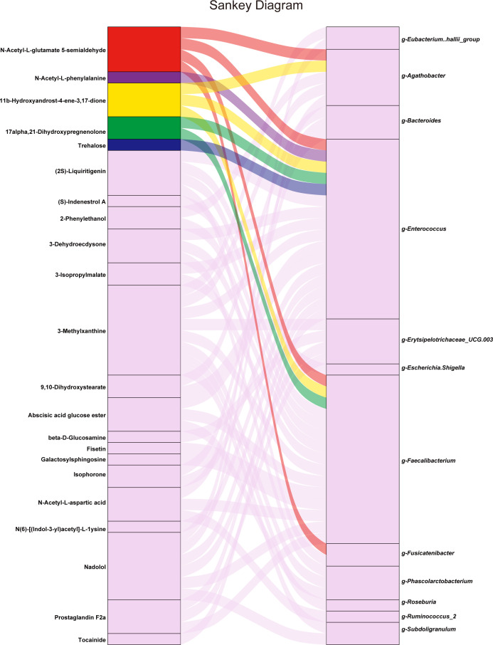 Sankey diagram depicts connections between various metabolites and bacterial genera. Different colors represent distinct metabolites, with flows illustrating their associations with specific bacterial genera.