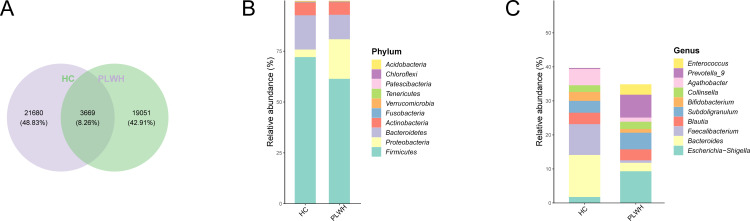 Venn diagram of unique and shared features between HC and people living with HIV (PLWH), along with bar charts displaying the relative abundance of bacterial phyla and genera in these two groups.