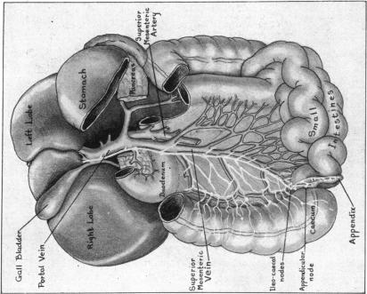 FIG. 5.