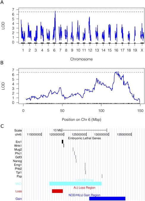 Figure 7.