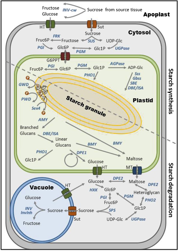 Figure 1