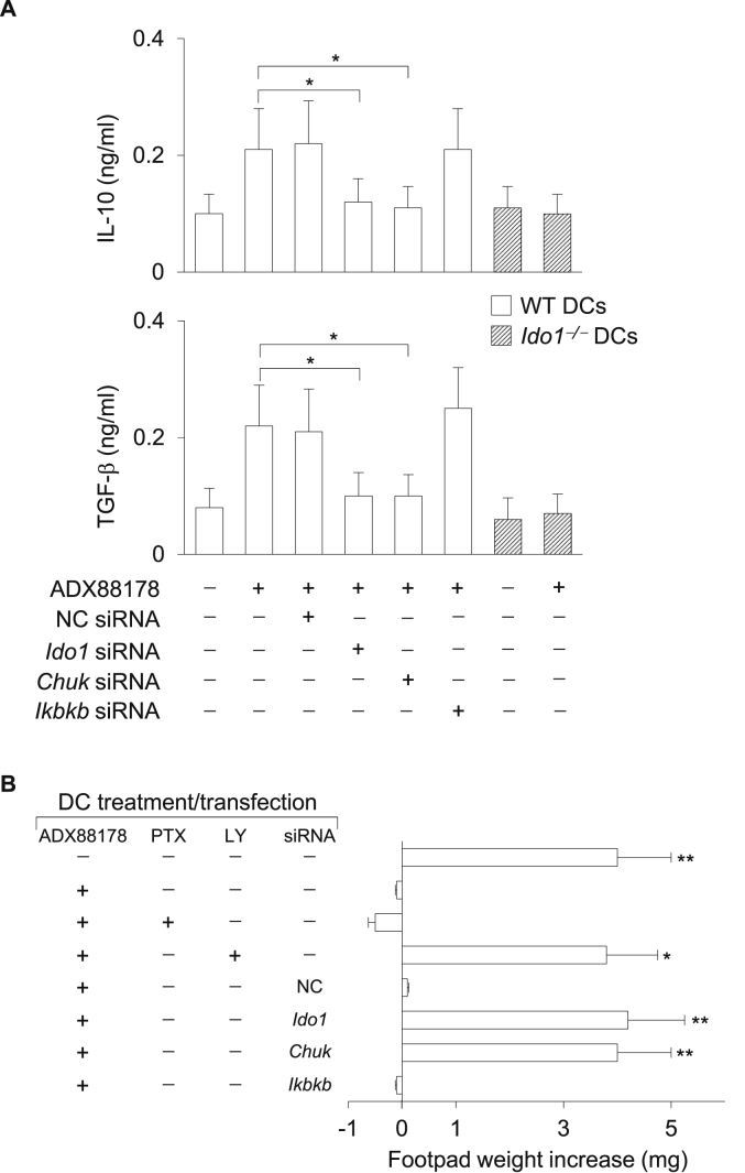 Fig. 6