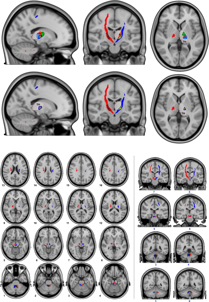 Fig. 2