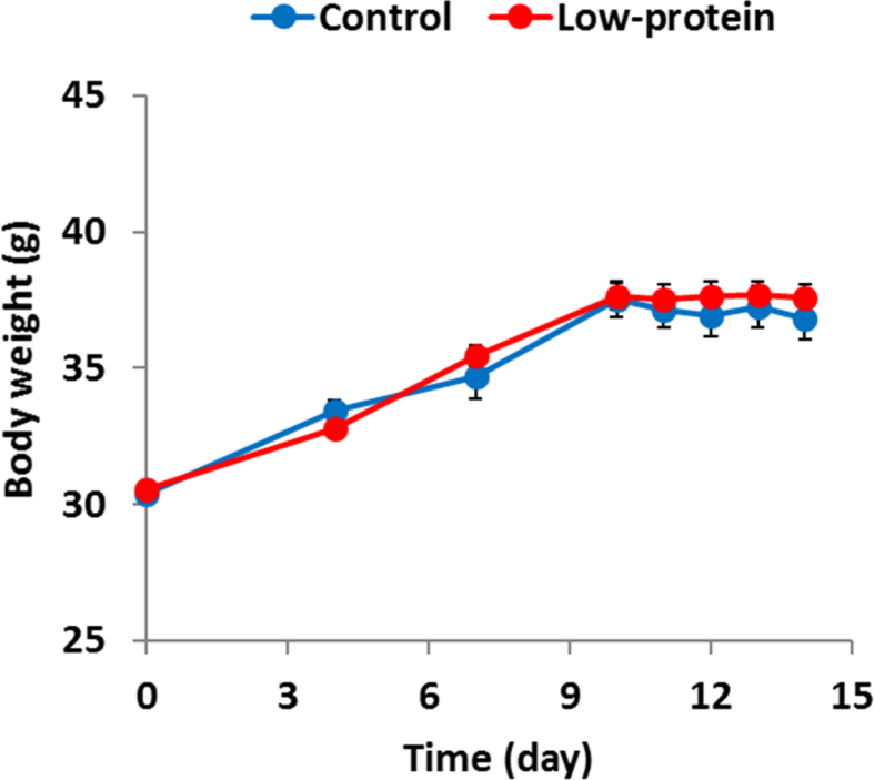 Fig. 2